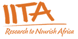 Latest Vacancies at IITA (Apply Now)