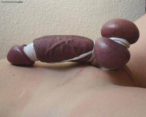 Penis Tied Up 14