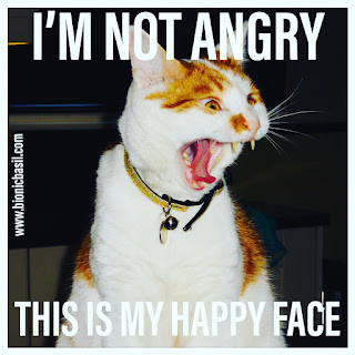 Angry Amber @BionicBasil® Bad Tempered Kitty - I'm Not Angry This is My Happy Face