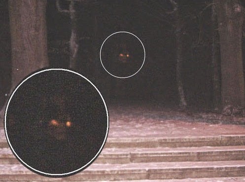 Michigan Dogman Sightings And History