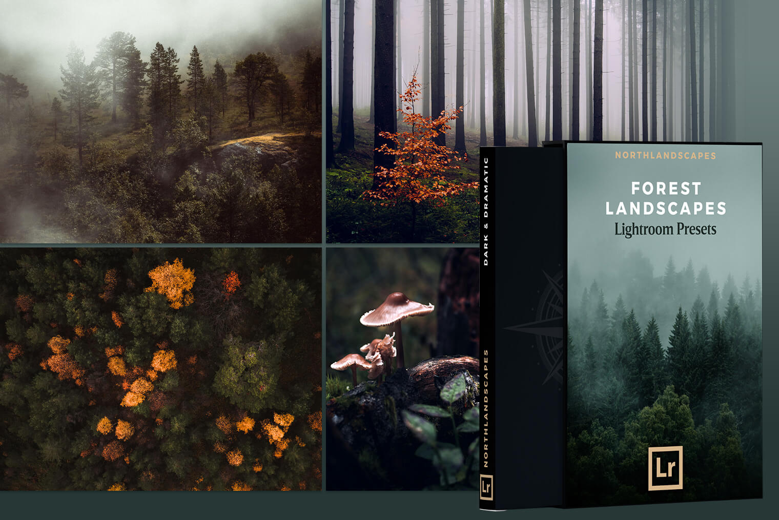 Professional Lightroom Preset Packs for Landscape & Travel Photography (XMP, LR)