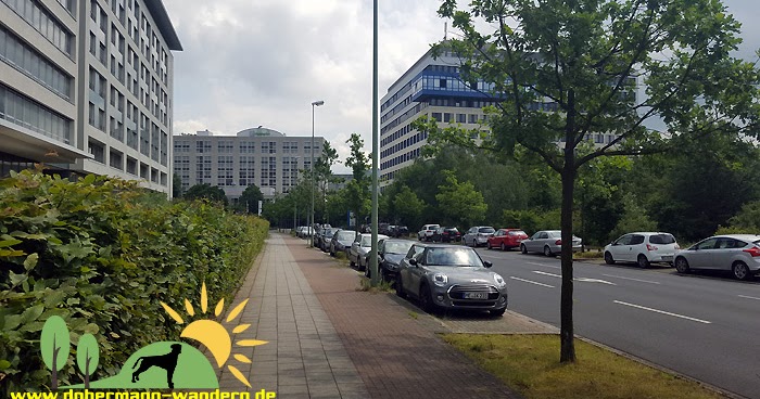 Blog Jahlove De Augen