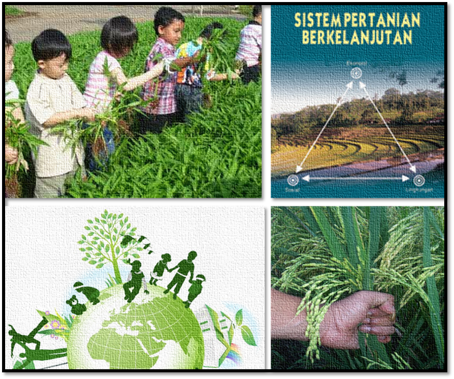 Peran pendidikan dan pelatihan dalam meningkatkan ketahanan pertanian di desa terhadap perubahan iklim