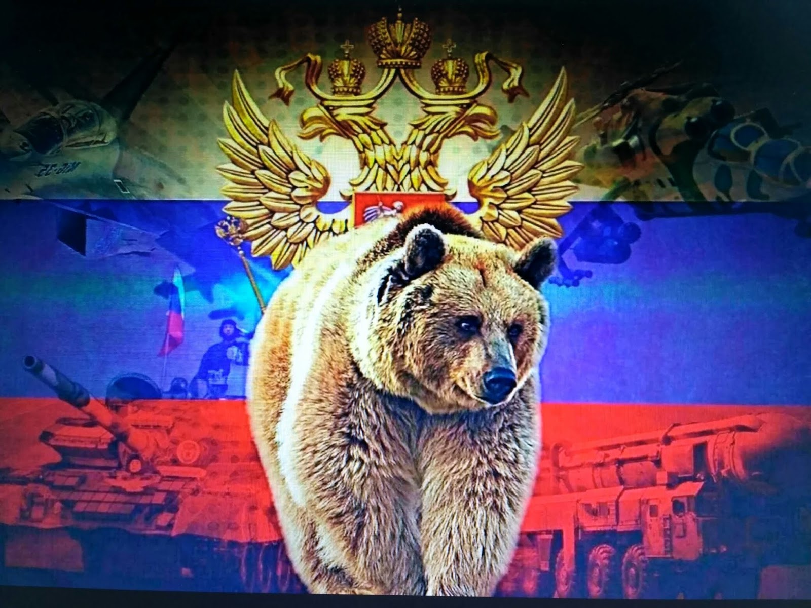 Russia bear steam фото 85