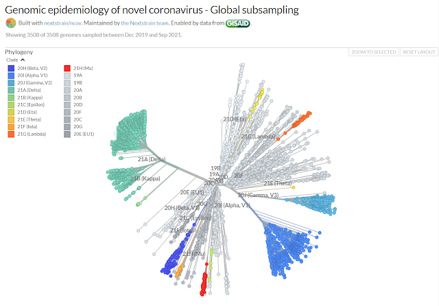 Genomic epidemiology of novel coronavirus (unrooted chart)