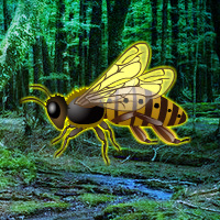 Games2rule Giant Wasp Forest Escape 