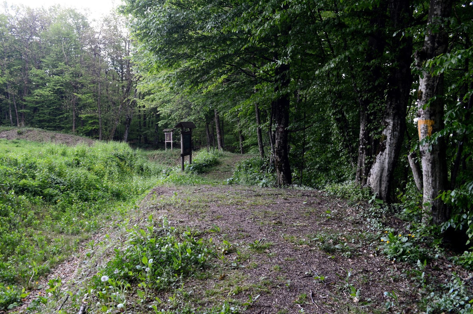 Ljepote planina Planinarska obilaznica Petrova gora, travanj 2017.