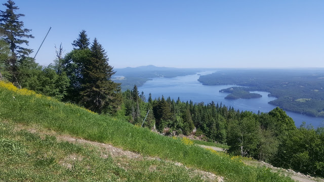 Point de vue à partir du sentier en direction du sommet du mont Owls Head