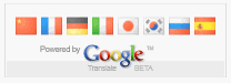 Google Flag Translate Widget For Blogger Blogspot 13