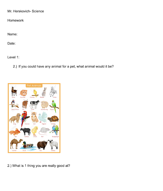 Homework tlumaczenie angielski 05 picture