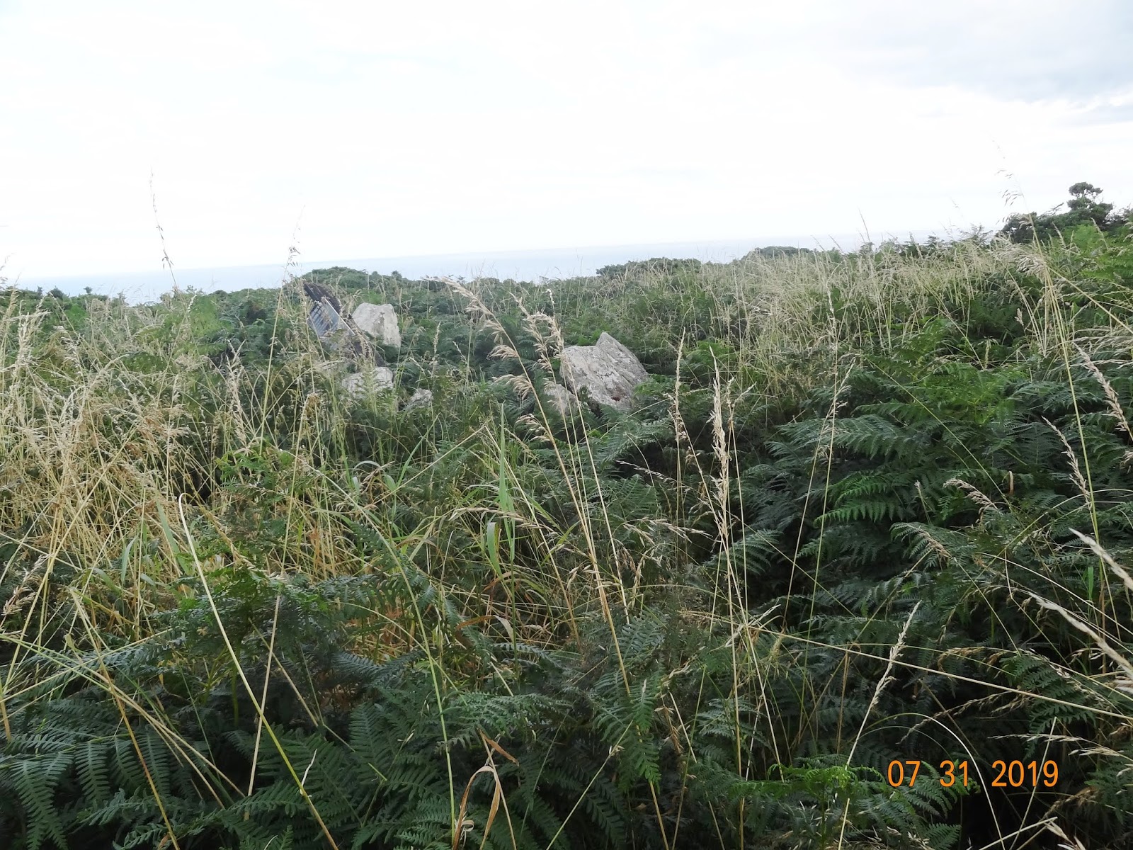 Waterford County Museum Court Cairn at Ballinamona Lower, Old Parish