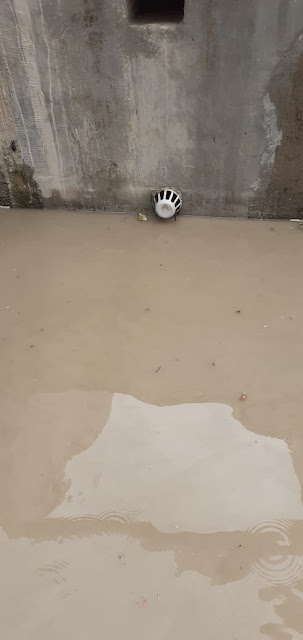 तपोवन के घटिया विकास कार्यो के डीएम से जाँच की माँग