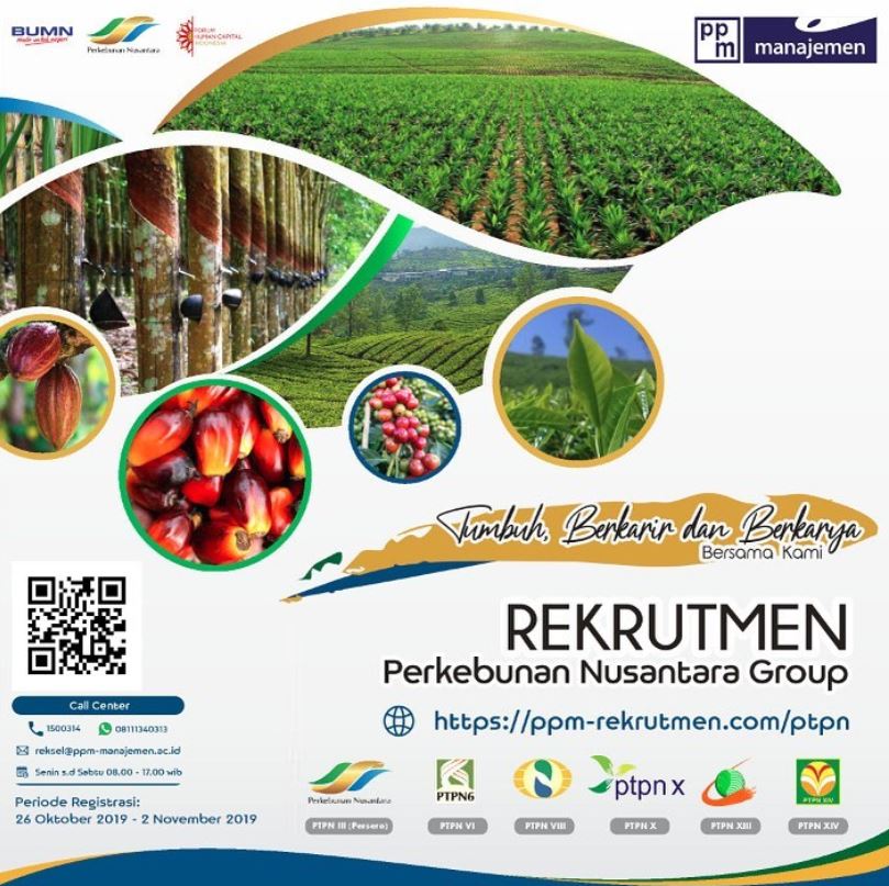 Rekrutmen Perkebunan Nusantara Group (Pendaftaran : 26 Oktober s.d 02  November 2019) - Lowongan Kerja BUMN Kementerian Swasta Medis Dosen Maret  2022