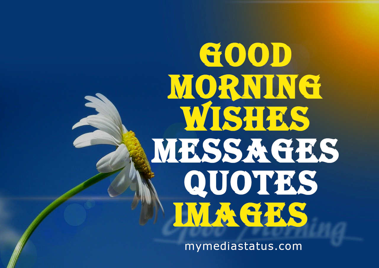 301+ Good Morning Wishes 2023, Messages, Quotes Images