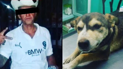 Muere una perrita de ocho meses de edad tras ser abusada por un hombre en Nezahualcóyotl