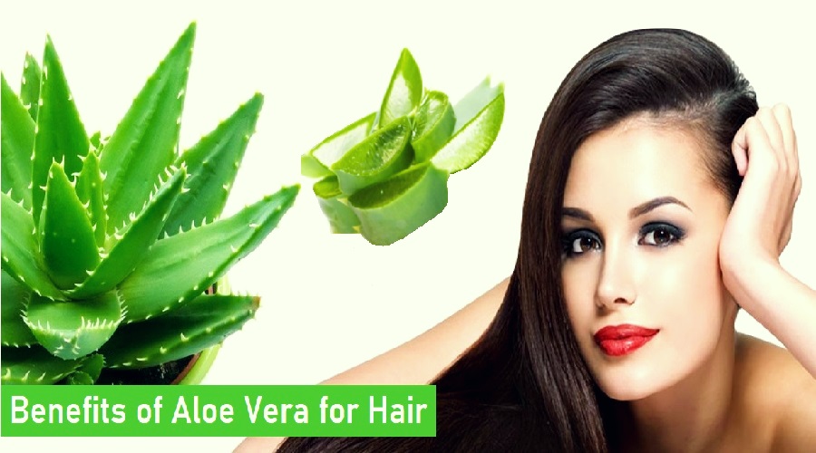 How to Use Aloe Vera Gel to Get Soft, Smooth & Shiny Hair