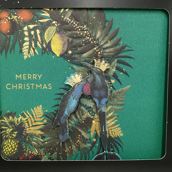 print & pattern CHRISTMAS 2020 sainsbury's