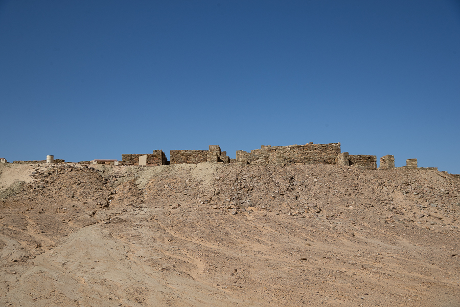 Birds of Saudi Arabia Al Hamra Palace Tayma