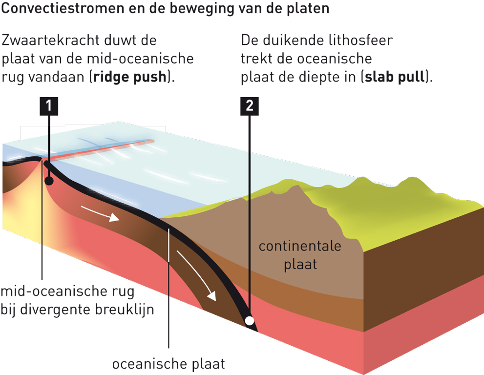 drs. Rini van der Pol De wereld ontdekken met aardrijkskunde september 2014 drs. Rini van der Pol De wereld ontdekken met aardrijkskunde september 2014