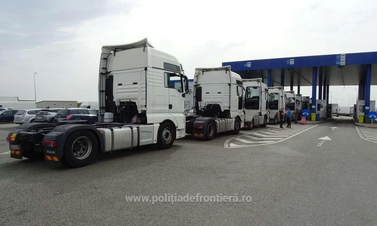 Nouă mijloace de transport căutate de autoritățile din România, oprite la ieşirea din ţară în P.T.F. Calafat