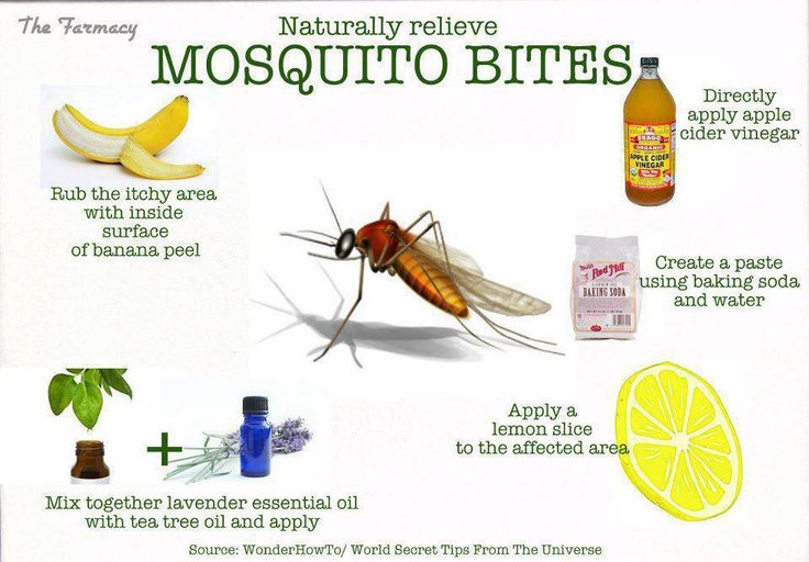 How To Treat Mosquito Bites Tasly Health Products