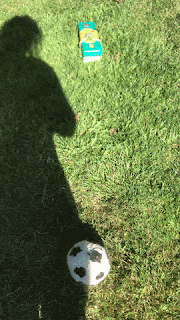 kicking a soccer ball to a block of cheese