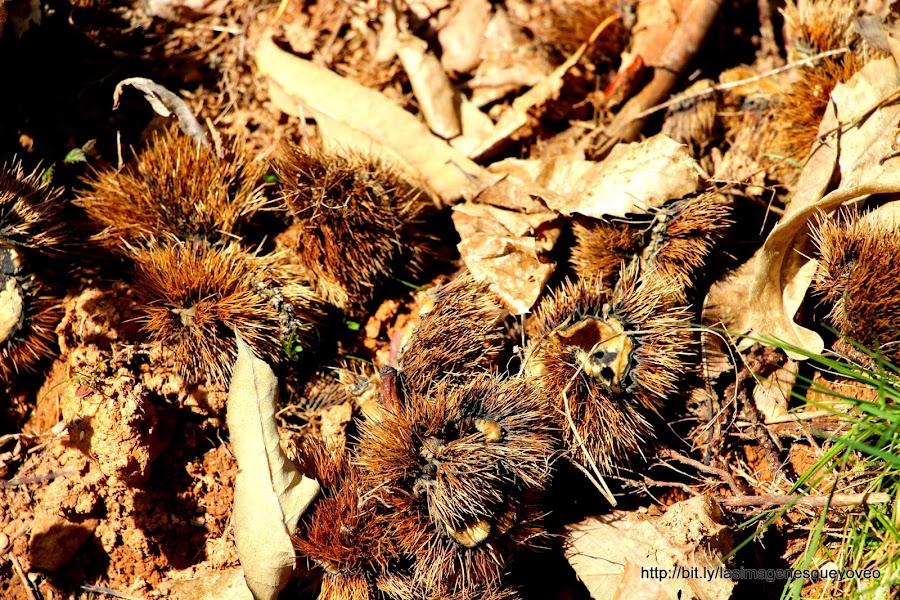 Las Médulas. Ponferrada. León. España