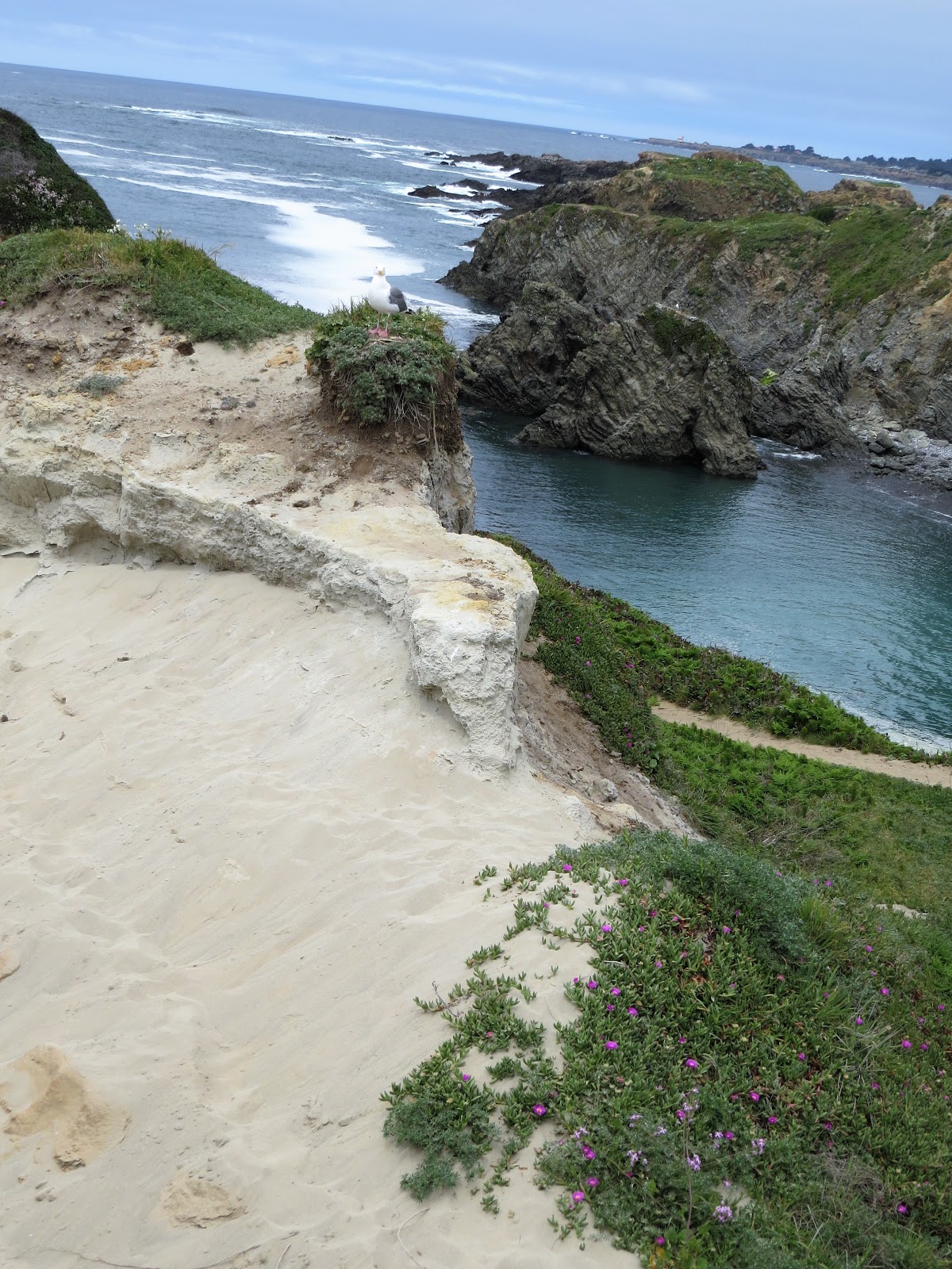 On the Road Abode Trading a zip code for a toad A Quickie in Fort