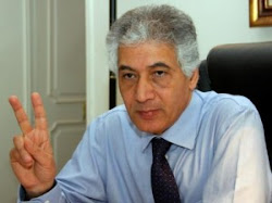 الخبير الاقتصادي د. أحمد جلال : مكاسب «25 يناير» تفوق الخسائر المالية