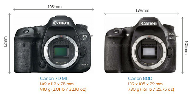Eos 80d Vs Eos 7d Mark Ii Michael Daniel Ho - The Wildlife Ho-tographer: Canon EOS-7D Mark II vs