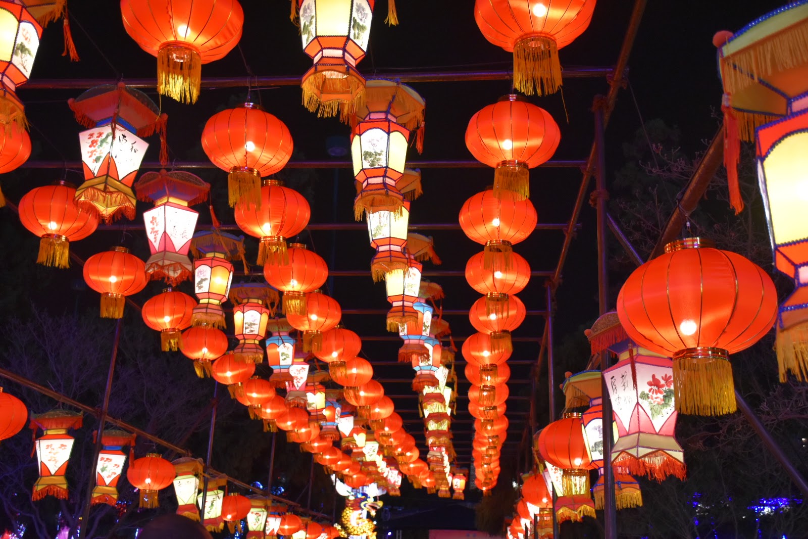 All Of The Lights Chinese Lantern Festival
