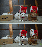 Art Cat GIF • Double cinemagraph GIF with two Shironeko Cats wearing Mac Do hats