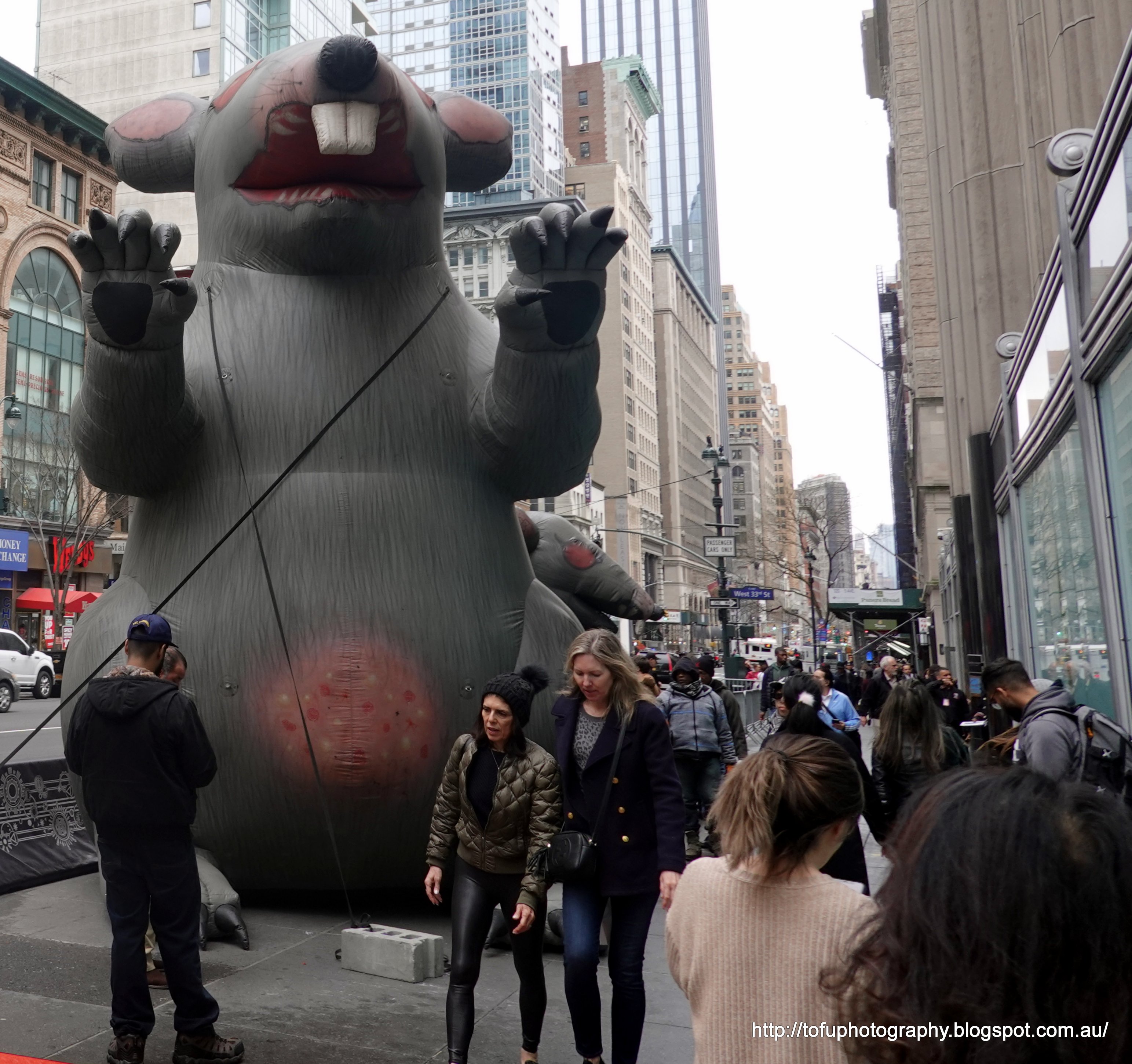 Tofu Photography A giant inflatable rat on a sidewalk in New York, USA