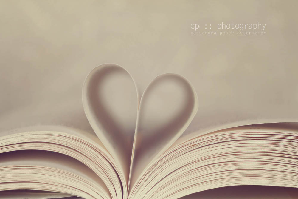 sassafras dreaming of books fine art photography