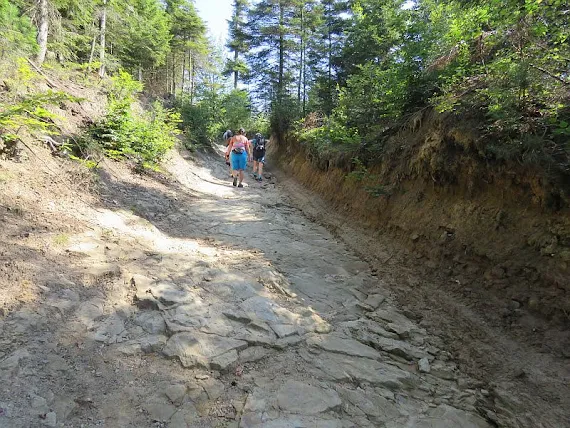 Dróżka o skalnym podłożu drozka