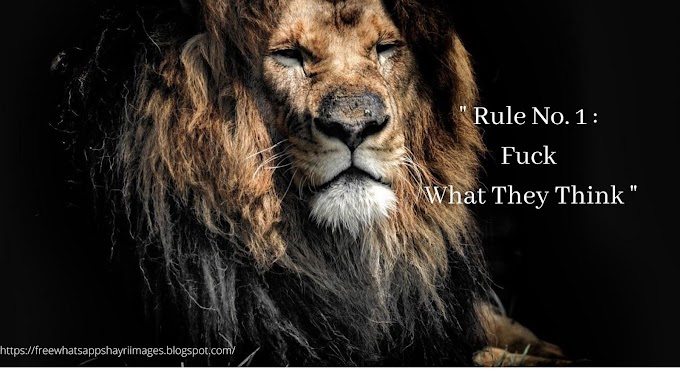 25+ Motivational Lion Pictures Quotes - Brave Lion Quotes 