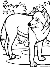 La Chachipedia: Dibujos de lobos para colorear, gifs animados y dibujos a  color