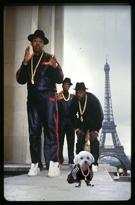 Pets_OFFmag: Luxirare Custom Doggy Adidas Tracksuit