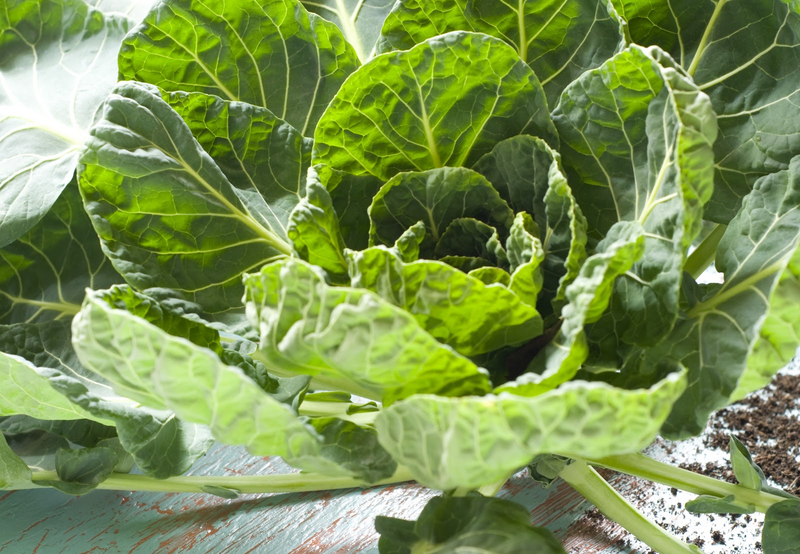 a suburban kitchen I Am Thankful For&hellip;.