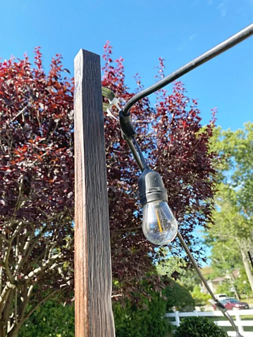 clamp at top of stained pole