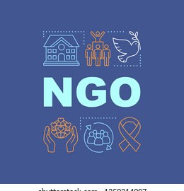 गैर सरकारी संगठन की समस्याएँ तथा निराकरण (Problems and solution of NGO)
