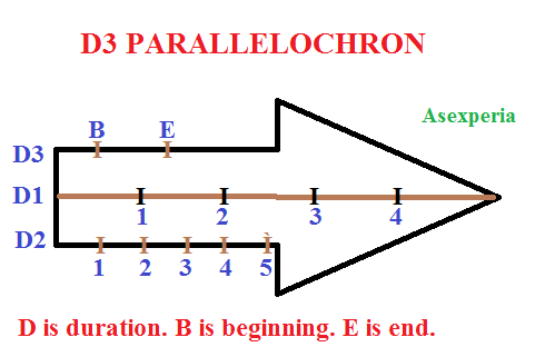 Parallelochron%2BD3.png
