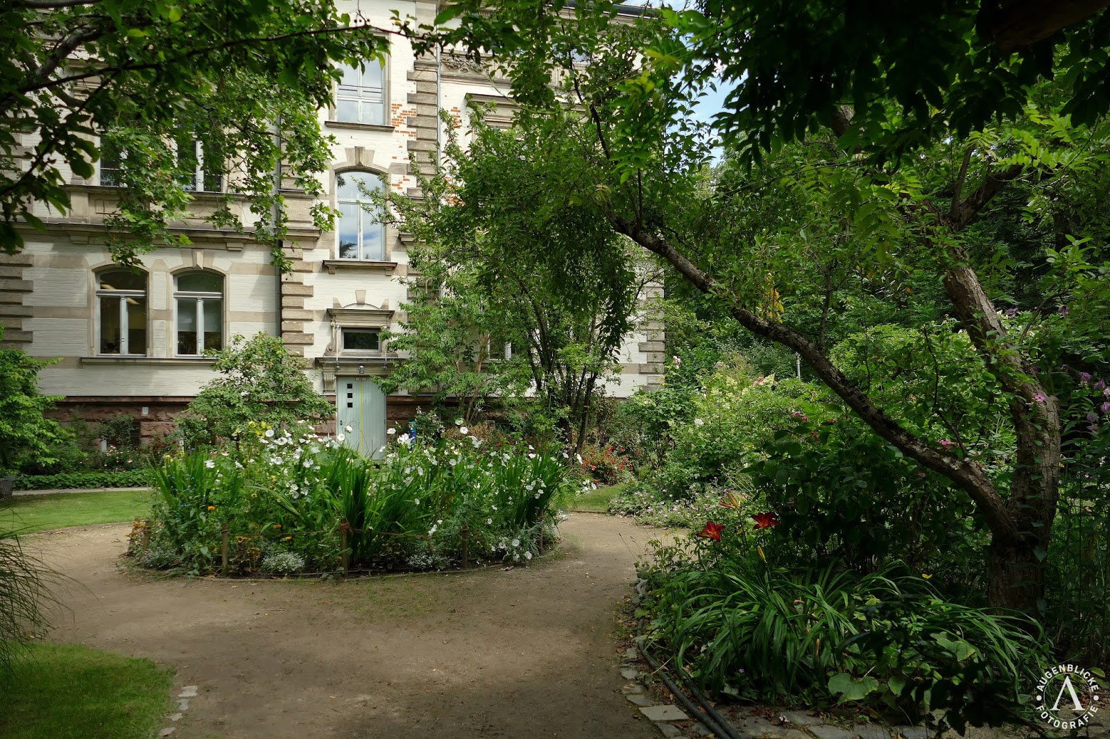 Augenblicke Fotografie: Im Botanischen Garten Erlangen