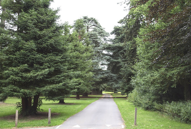 Driveway at High Elms Country Park, 5 August 2013.