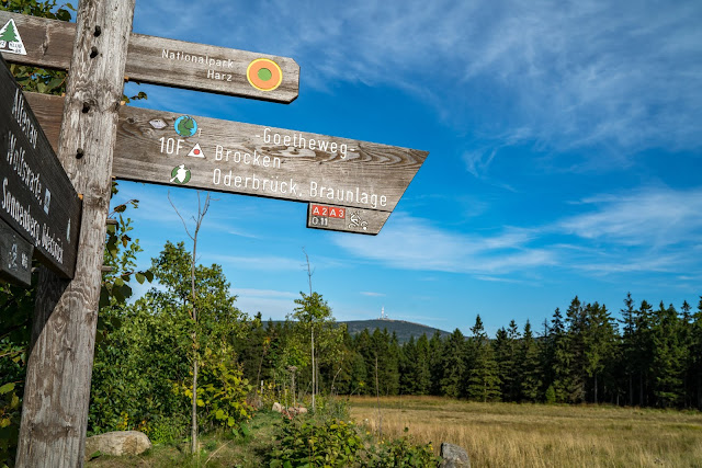 Sonnenuntergangstour im Harz  Der Goetheweg auf den Brocken  Wandern in Bad Harzburg 03