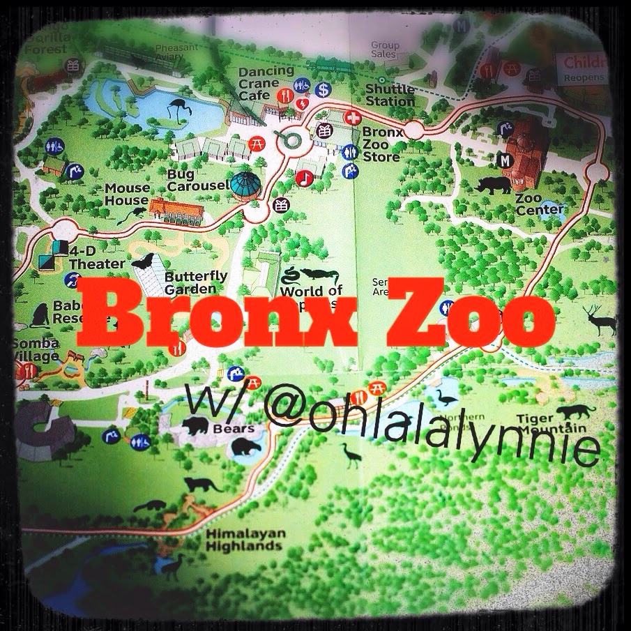 THE BRONX ZOO