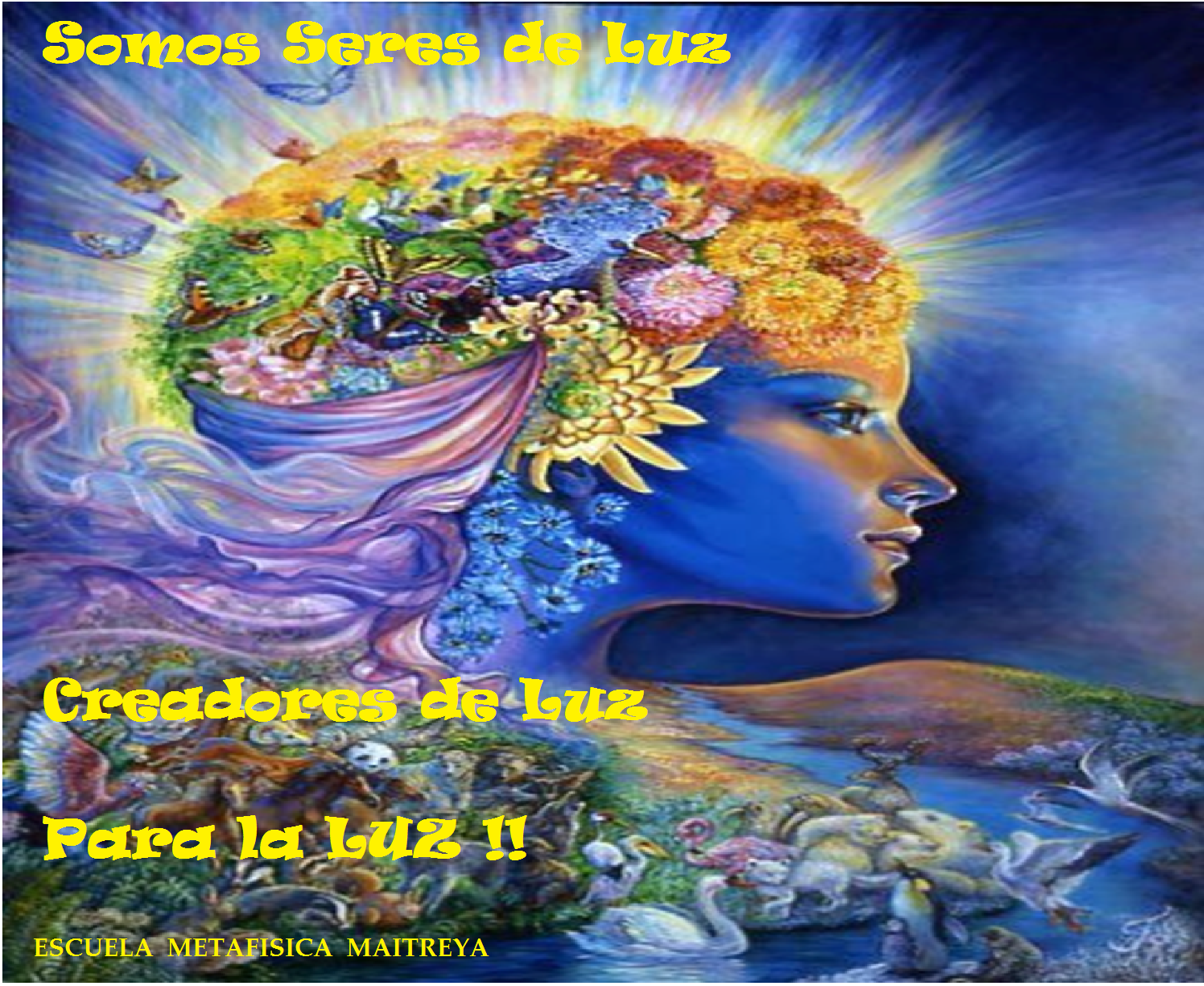 Escuela Metafísica "Maitreya": SOMOS SERES DE LUZ