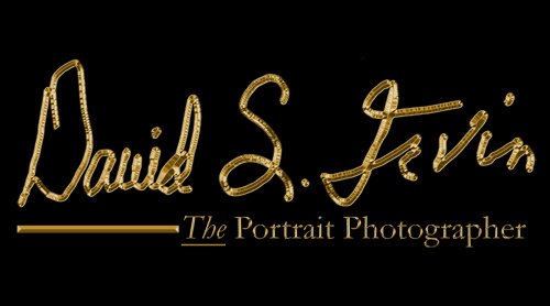 David S. Irvin, The Portrait Photographer