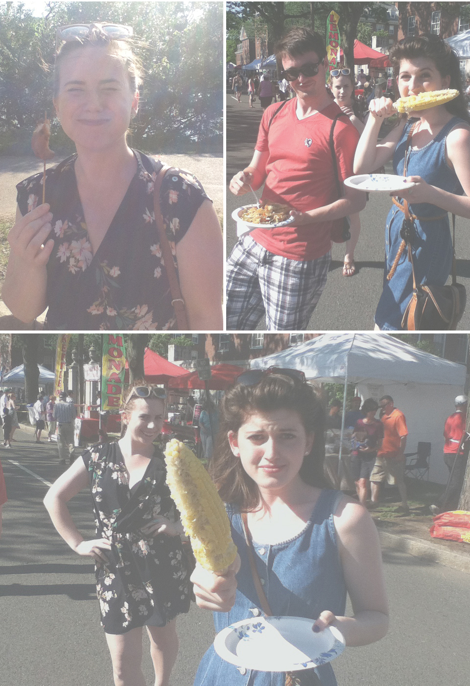 The Emerald Necklace Cambridge River Festival