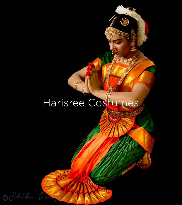 South Indian Dance Costumes